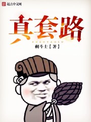 ʮ������